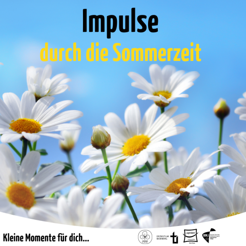 2025 Impulse Sommer